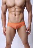 Sexy Mens Swimwear Low Rise Bikini Briefs Men Beach Swimming Shorts