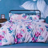 100 Printed Cotton Queen King Bed Linen