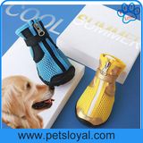 High Quality Cool Pet Boot Dog Shoes Manufacturer