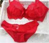 Sexy Transparent Lingerie Bra Set with Beautiful Embroidery (EPB296)