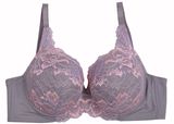 Good Quality China Factory Underwear Push up Plus Size Bra