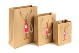 Color Printing Kraft Paper Bag Custom Gift Paper Bag Printing