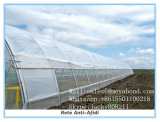 Agricultural Anti Insect Net for Fruit Anti-Bird and Anti-Insect