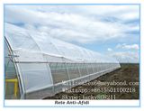 Agricultural Anti Insect Net for Fruit Anti-Bird and Anti-Insect