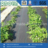 PP Ground Cover/Horticulture Textiles/Landscape Fabric Professional Supplier