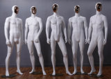 European FRP Male Mannequin with Face Changeable