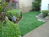 Beautiful Four Color Fake Carpet Landscape Waterless Grass