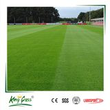 Top Grade Most Popular Artificial Grass Carpets for Football Stadium