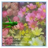 Agricultural Anti Insect Net Mesh Netting with 7% UV