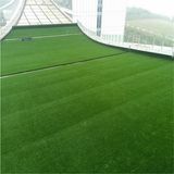 Mini Aquarium Football Cheap Carpet Artificial Grass