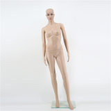 Wholesale Shop Display Lifelike Dress Form Plastic PP Female Mannequin