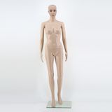 Skin Stone Vitrine Display Color PP Female Torso Mannequin