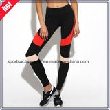 OEM Factory Fitness Women Workout Sexy Yoga Sports Gym Yoga Pants