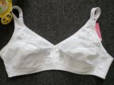 Hot Sale Cotton Bra Women Plus Size Bra (CS914)