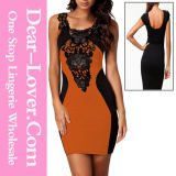 Orange Sexy Lace Contrast Cocktail Party Evening Bodycon Dress