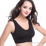 European Style Seamless Wire Free Sports Bra