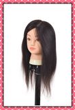 Hot Sale Human Hair Training Head 20inches for Beauty School