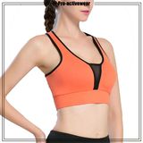 OEM Women's Sports Bra High Impact Sports Wear Yoga Bra