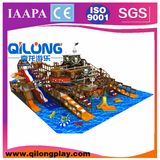 Soft Interesting Indoor Playground for Children (QL-3095D)