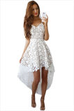 Hollow Lace Nude Illusion Hi-Low Party Dress
