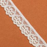 Nylon Raschel Lace