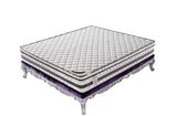 Ruierpu Furniture - Beds - Sofas - Bedroom Furniture - Hotel Furniture - Trendy Home Furniture - Latex Beds Mattresses