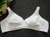 Plus Size Sexy Underwear for Europe Women