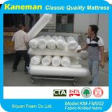 Wholesale Price Rolled up Foam Mattress