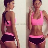 OEM Hot Sale Polyester Fashion Sexy Sport Wear Sportswear