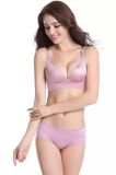 High Quqlity Seamless Bra and Panty for Ladies (CLS023)