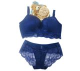 Elegant Lace Bra and Panty for Sexy Ladies (EBP267)