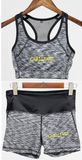 Quick Dry Fitness Running Set Gym Sportswear Bra Tracksuit Sports Suits