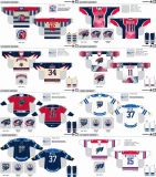 Customized American Hockey League Springfield Falcons Hockey Jersey