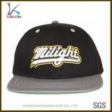 Custom Fashion 3D Embroidery Snapback Cap Hat