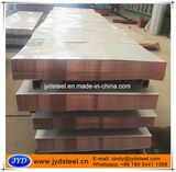 PPGI Plate/Plain Sheet/Flat Sheet