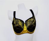 European Style New Design Hot-Sale Bra in Low Price (CS9929)