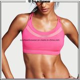 OEM Women Fitness Sport Bra Plus Size Activewear Ladies Sports Bra