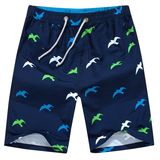 Factory OEM Men Printed Shorts Suring Quick Dry Swimming Wear