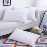 China Factory Cheaper Hotel Standard Pillow