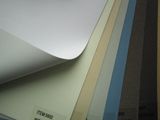 White Coated Sliver Coating Blackout Roller Shades Fabric Stock Lot Wholesale Roller Blind White Coating Blackout Jacquard Roller Type Blind Fabric