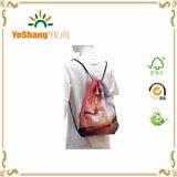 Custom Manufacturer Drawstring 210d Sport Backpacks