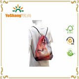 Custom Manufacturer Drawstring 210d Sport Backpacks