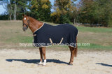 Horse Winter Turnout Rugs and Horse Blanket