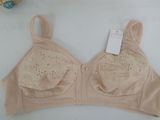 High Quality Russia Hot Sales Plus Size Bra