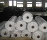 Agricultural Pest Resistant Crops Anti Insect Net for Greenhouse
