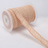 Custom Fashion Garment Accessories Lace Elastic for Home Textile