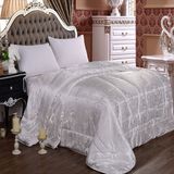 Comfortable and Eco-Friendly Silk Quilt (DPH3639)