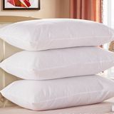 Luxury White Goose Down Hotel Pillow in Cheap Price