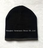 Hot Selling Fashion Beanie Hat (JTB208)