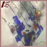 Feel Hard 100% Silk Organza Fabric for Dress